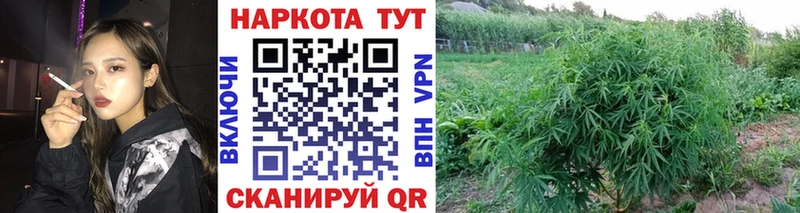 Как найти наркотики Курлово Амфетамин МЕФ Alpha-PVP ГАШИШ Cocaine